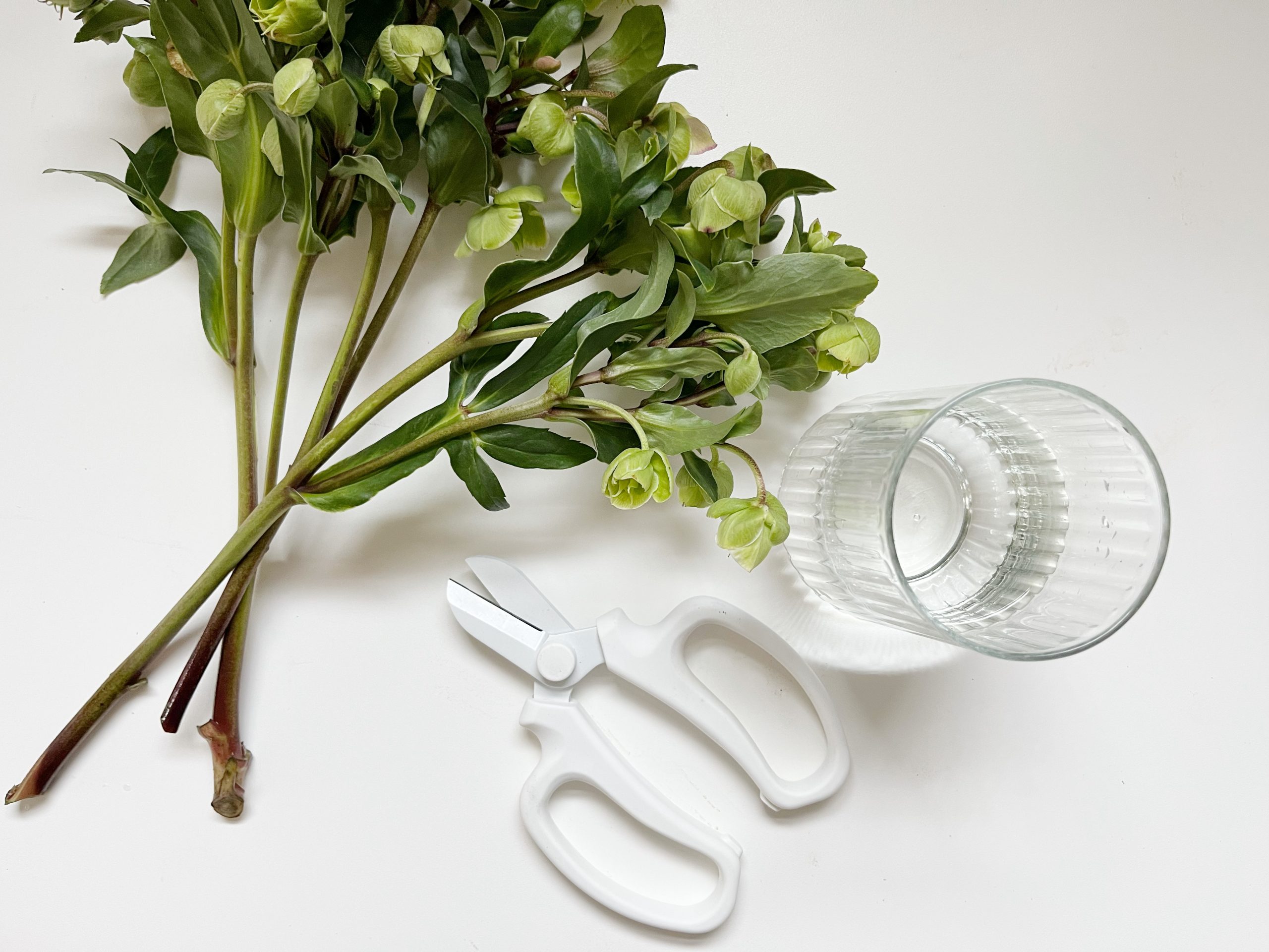 Flower Snips Nicola Adam